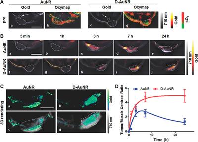 Improvement of Gold Nanorods in Photothermal Therapy: Recent Progress and Perspective